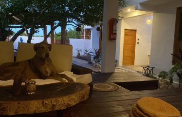 Profitable Boutique Hotel For Sale  Holbox Mexico — Casa Nuup | 5 Studios | $14,300,000 MX