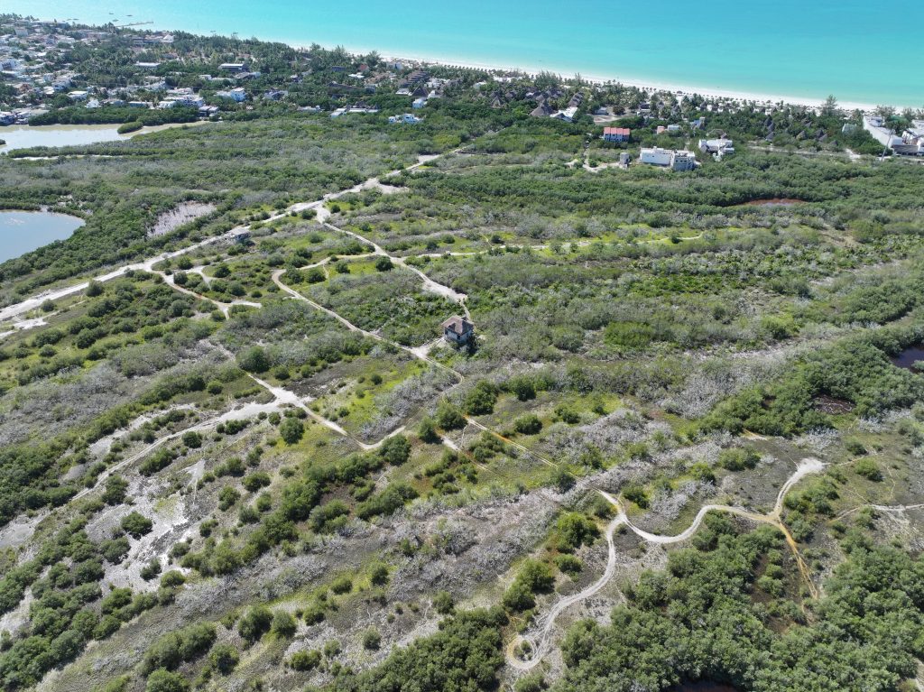 Land for sale in Holbox drone view — beach proximity of Lotes Paraíso titled lots Zona 01