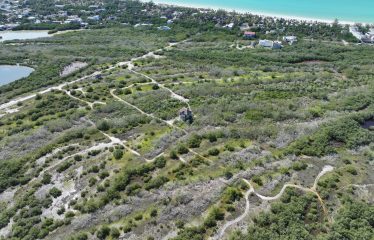 Land for sale in Holbox drone view — beach proximity of Lotes Paraíso titled lots Zona 01