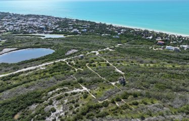 Aerial view of Lotes Paraíso titled lots in Holbox — 150 m² available land 400 meters from the Caribbean Sea